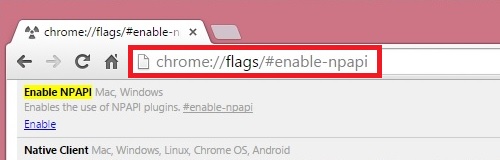 Как включить npapi в chrome